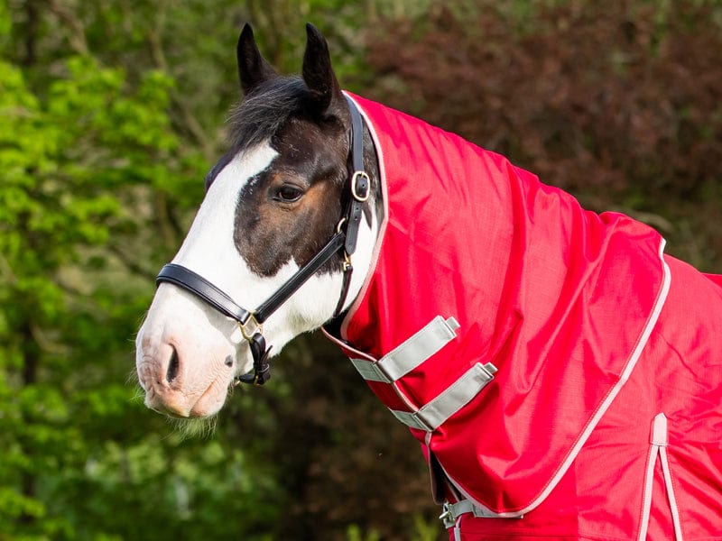 100g Red Turnout Rug Neck Cover
