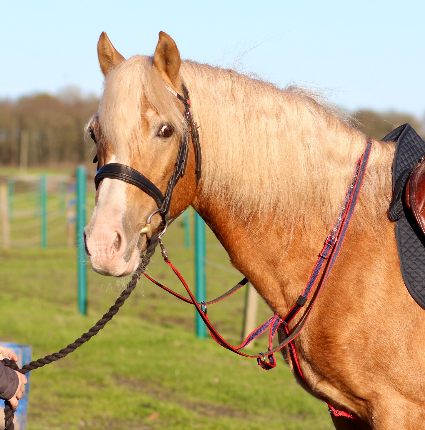 Running Martingale