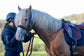 Grass Reins