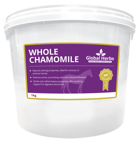 Whole Chamomile - Global Herbs