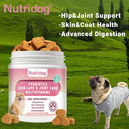 Multivitamin Chews for Dogs with Probiotics Glucosamine&Digestive Enzymes Supports Joint Health Immune System&Gut.