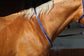 Neckstrap