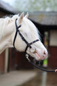 Exmoor Bridle