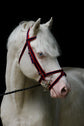 Standard Bridle - Flash Noseband