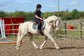 Click Bridle including Reins