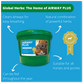 Airway Plus Powder - Global Herbs