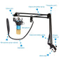 BM-800 Network K-Song Dedicated High-end Metal Shock Mount Microphone Set(Black)