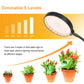 LED Plant Growth Lamp USB Remote Control Clip Waterproof Full Spectral Natural White Seedling Planting Light, Power: 60W Four Head