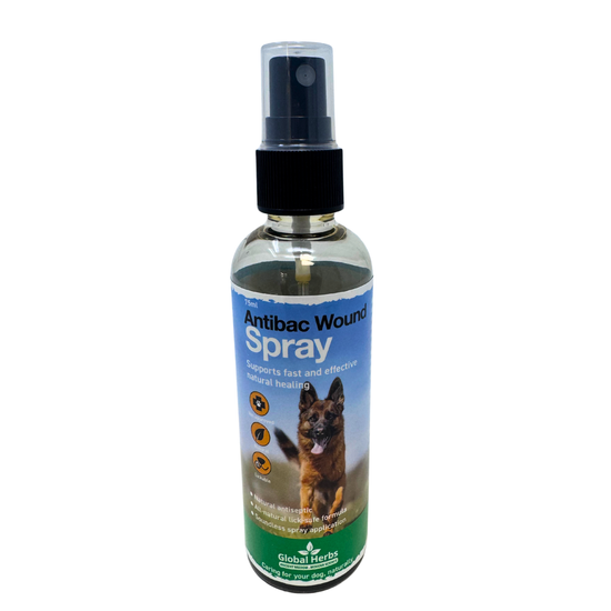 Antibacterial wound spray 75ml - Global Herbs  - Canine
