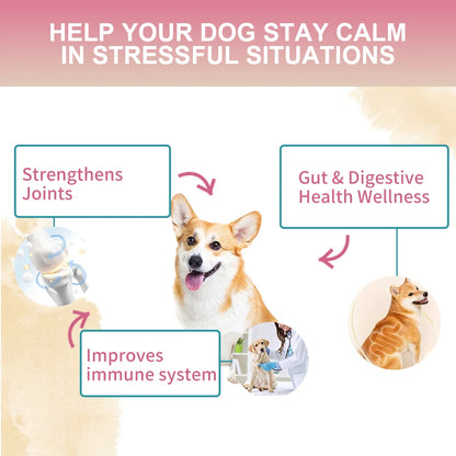 Multivitamin Chews for Dogs with Probiotics Glucosamine&Digestive Enzymes Supports Joint Health Immune System&Gut.
