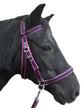 Scawbrig Bitless Bridle