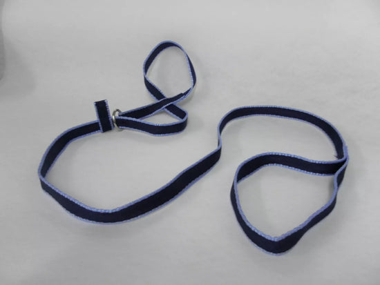 Webbing Dog Controller/Figure of 8 Lead